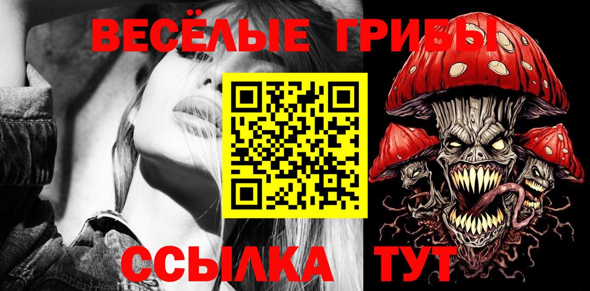 Псилоцибиновые грибы Cubensis Белогорск